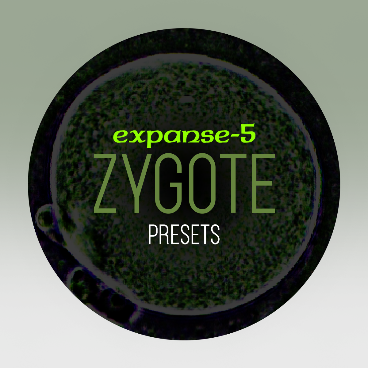 Expanse5 - Zygote picture